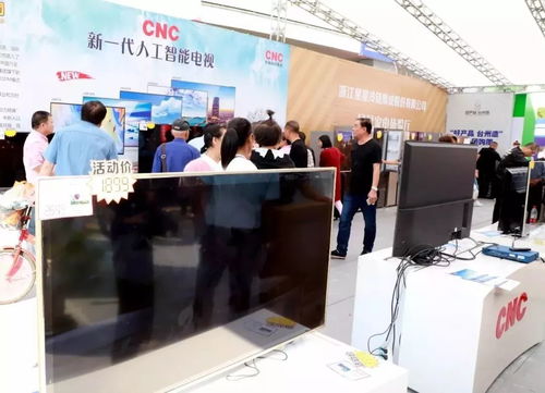 2019臺州商務(wù) 嘉年華系列活動亮點紛呈