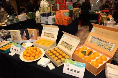 人氣爆棚！“臺九鮮”高調(diào)亮相農(nóng)博會 臺州