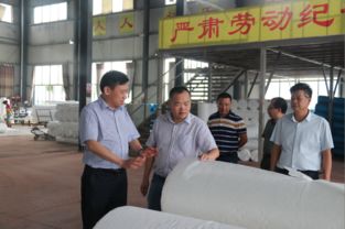 肖立新深入桃江縣環宇紡織新材料科技走訪調研，共謀紡織科技研究服務新篇章